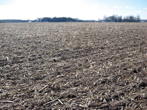 Property photo 8 - 127 Acres Offered in 4 Tracts